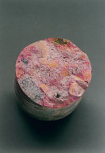 Load image into Gallery viewer, ASR-DETECT™ - Hylec Controls