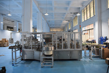 Load image into Gallery viewer, Corner-Spout Sealing Machine GF-2600X (dual-channel linear mode) - Hylec Controls