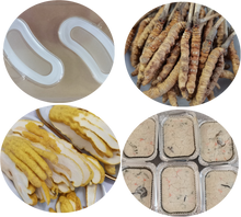 Load image into Gallery viewer, LYO BioProduct Pilot-type- Freeze Dryer TF-LYO-0.5E - Hylec Controls